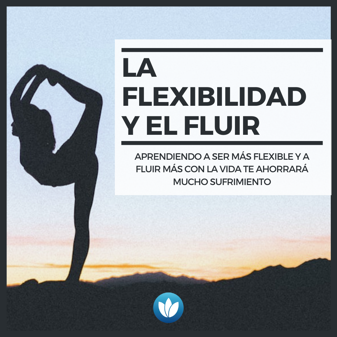_La flexibilidad y el fluir